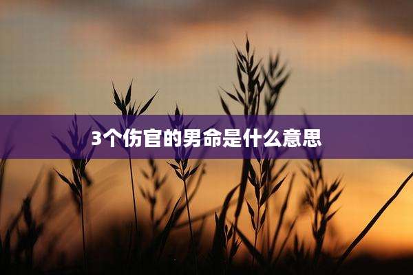 3个伤官的男命是什么意思