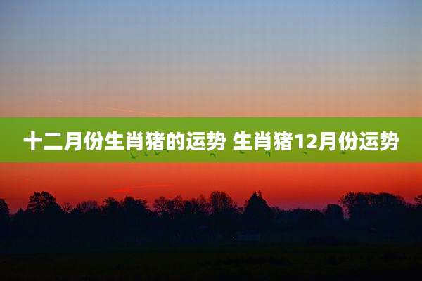 十二月份生肖猪的运势 生肖猪12月份运势
