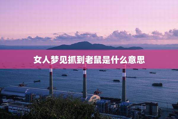 女人梦见抓到老鼠是什么意思