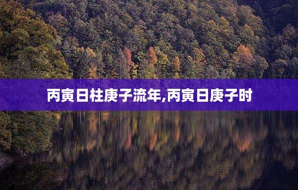 丙寅日柱庚子流年,丙寅日庚子时