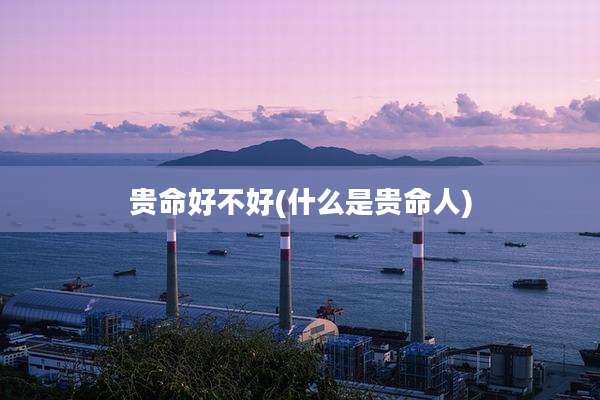 贵命好不好(什么是贵命人)