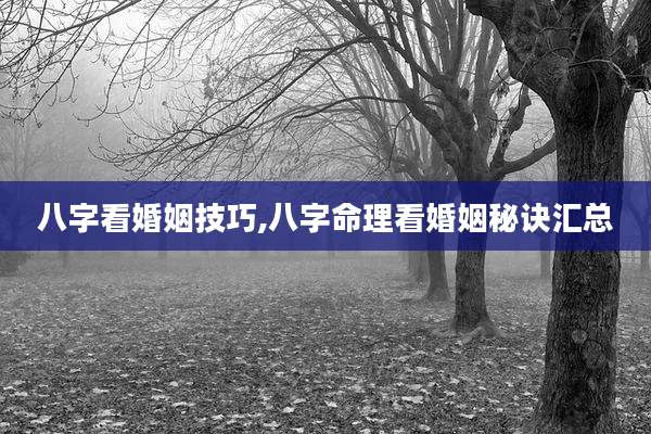 八字看婚姻技巧,八字命理看婚姻秘诀汇总