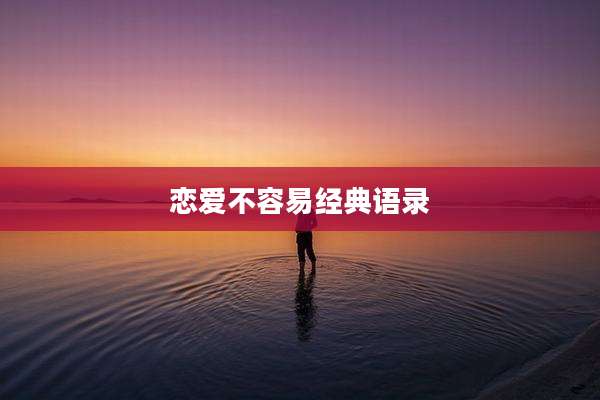恋爱不容易经典语录