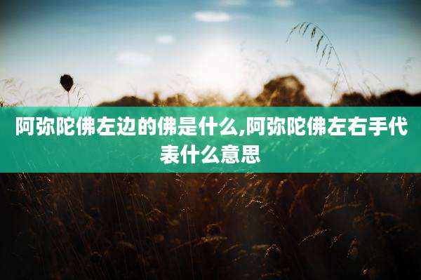 阿弥陀佛左边的佛是什么,阿弥陀佛左右手代表什么意思