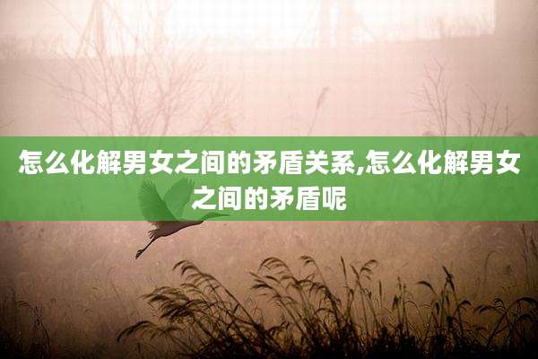 怎么化解男女之间的矛盾关系,怎么化解男女之间的矛盾呢