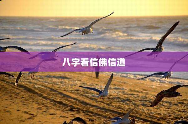 八字看信佛信道