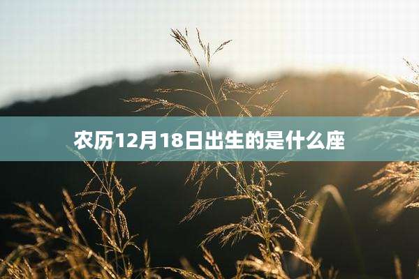 农历12月18日出生的是什么座