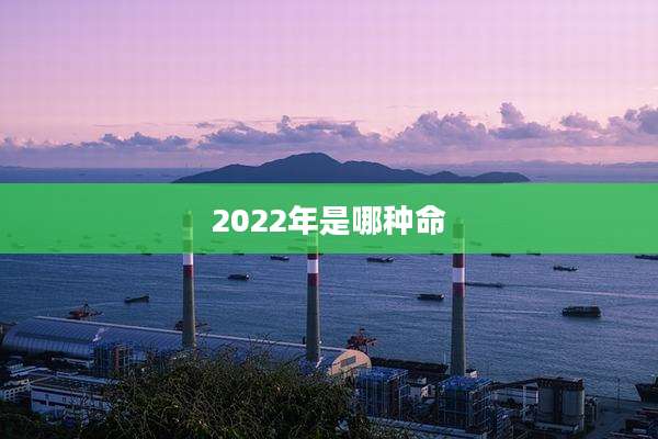 2022年是哪种命