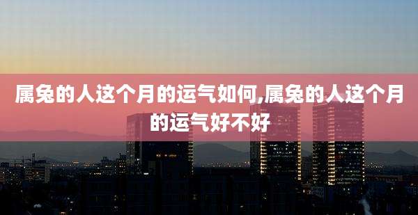 属兔的人这个月的运气如何,属兔的人这个月的运气好不好