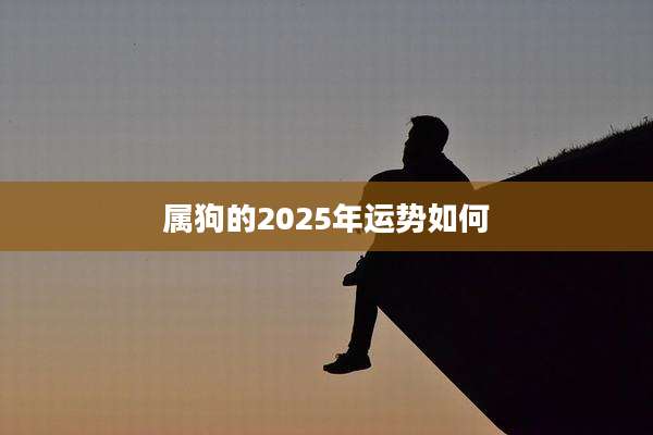 属狗的2025年运势如何