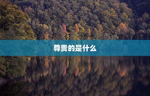 尊贵的是什么
