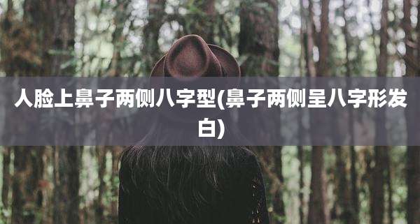 人脸上鼻子两侧八字型(鼻子两侧呈八字形发白)