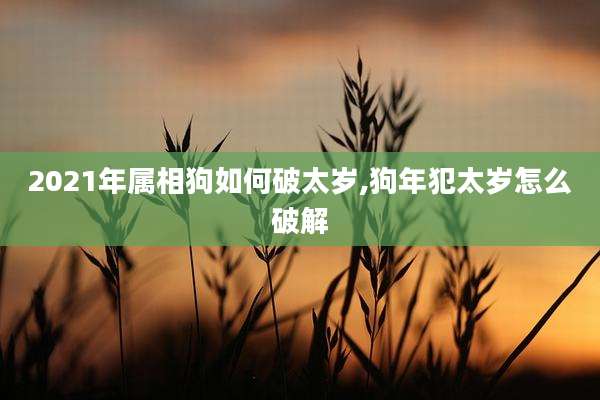 2021年属相狗如何破太岁,狗年犯太岁怎么破解