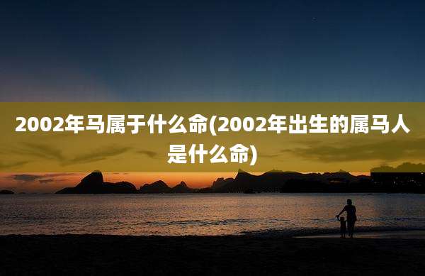 2002年马属于什么命(2002年出生的属马人是什么命)