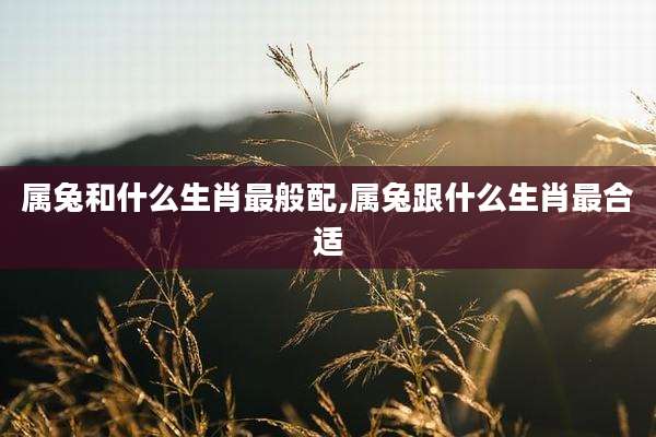 属兔和什么生肖最般配,属兔跟什么生肖最合适