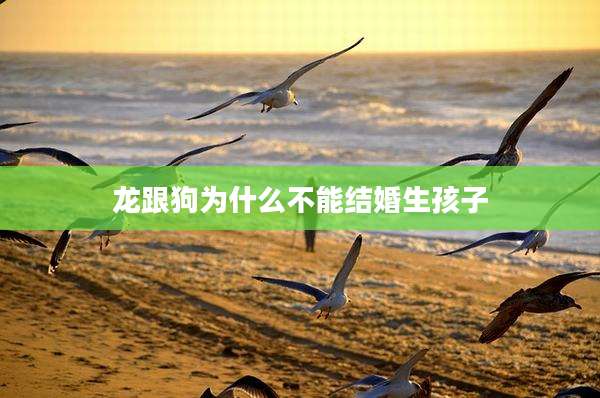 龙跟狗为什么不能结婚生孩子