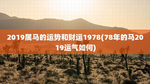2019属马的运势和财运1978(78年的马2019运气如何)
