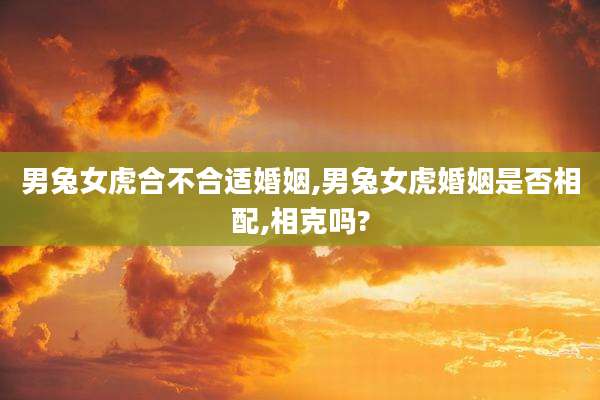 男兔女虎合不合适婚姻,男兔女虎婚姻是否相配,相克吗?