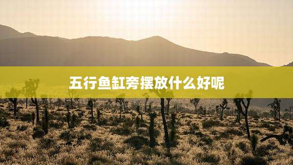 五行鱼缸旁摆放什么好呢