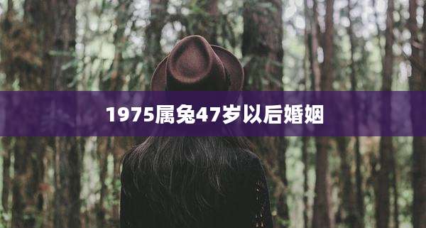 1975属兔47岁以后婚姻