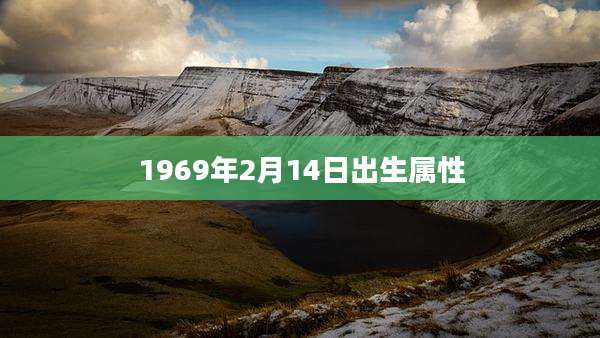 1969年2月14日出生属性