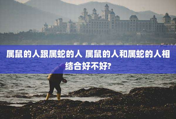 属鼠的人跟属蛇的人 属鼠的人和属蛇的人相结合好不好?