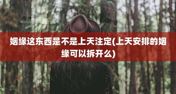 姻缘这东西是不是上天注定(上天安排的姻缘可以拆开么)