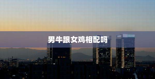 男牛跟女鸡相配吗