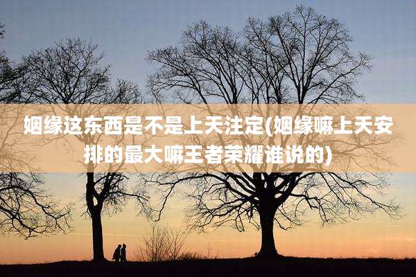 姻缘这东西是不是上天注定(姻缘嘛上天安排的最大嘛王者荣耀谁说的)