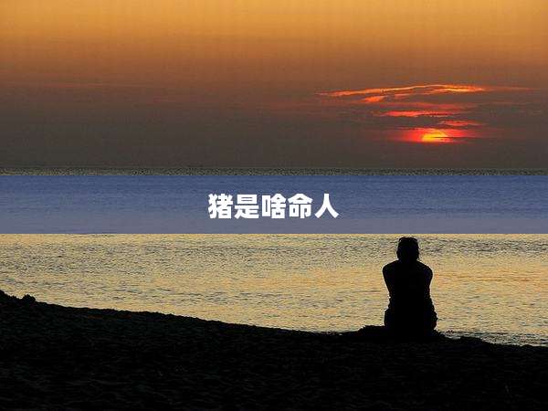猪是啥命人