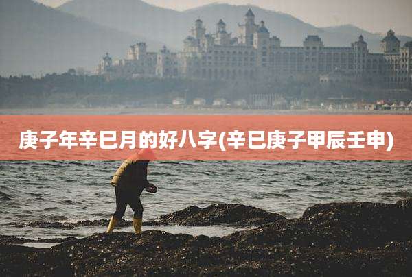 庚子年辛巳月的好八字(辛巳庚子甲辰壬申)