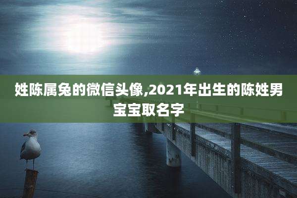 姓陈属兔的微信头像,2021年出生的陈姓男宝宝取名字