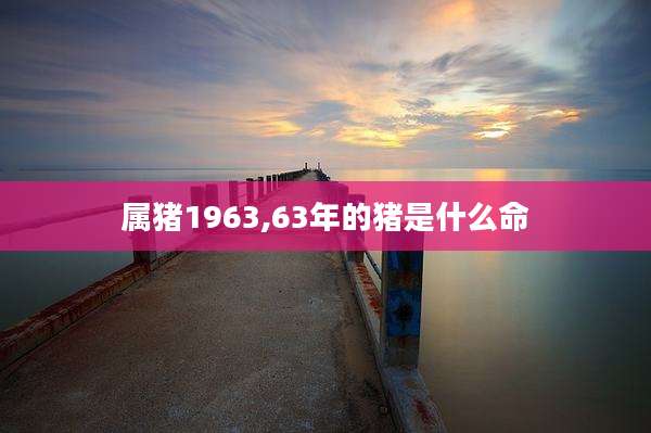 属猪1963,63年的猪是什么命