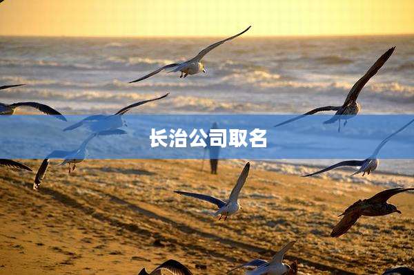 长治公司取名