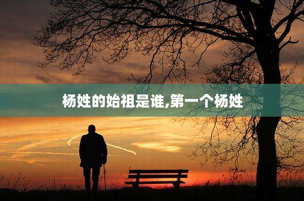 杨姓的始祖是谁,第一个杨姓