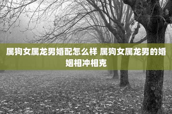 属狗女属龙男婚配怎么样 属狗女属龙男的婚姻相冲相克