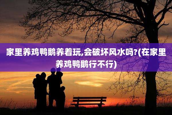 家里养鸡鸭鹅养着玩,会破坏风水吗?(在家里养鸡鸭鹅行不行)
