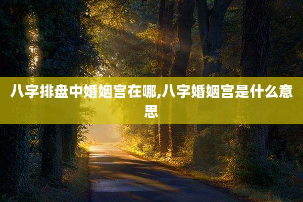 八字排盘中婚姻宫在哪,八字婚姻宫是什么意思