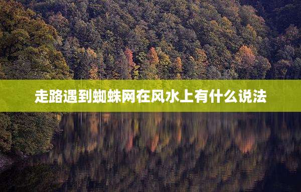 走路遇到蜘蛛网在风水上有什么说法