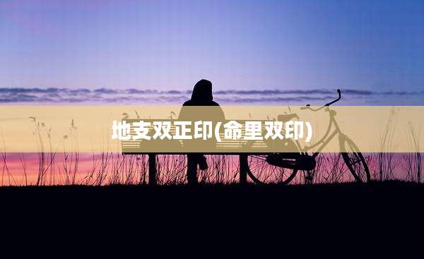 地支双正印(命里双印)