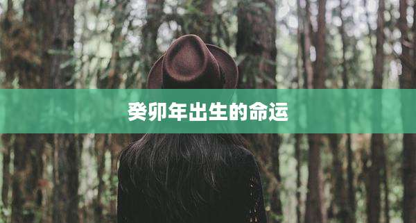 癸卯年出生的命运