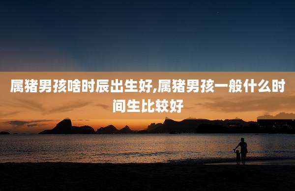 属猪男孩啥时辰出生好,属猪男孩一般什么时间生比较好