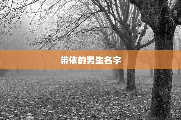 带依的男生名字