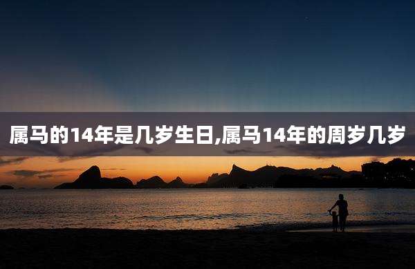 属马的14年是几岁生日,属马14年的周岁几岁