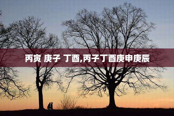 丙寅 庚子 丁酉,丙子丁酉庚申庚辰