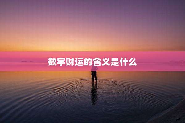 数字财运的含义是什么