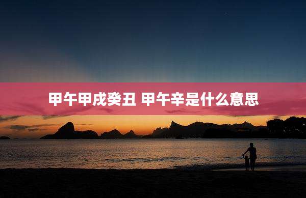 甲午甲戌癸丑 甲午辛是什么意思