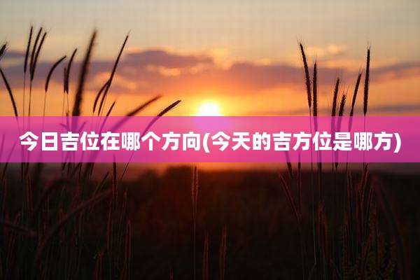 今日吉位在哪个方向(今天的吉方位是哪方)