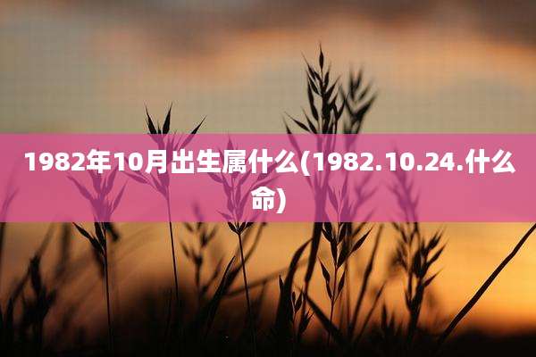 1982年10月出生属什么(1982.10.24.什么命)