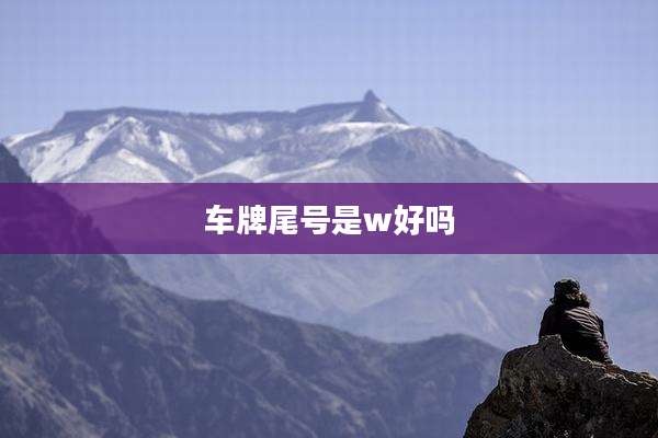 车牌尾号是w好吗